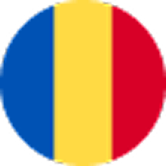 flag_logo